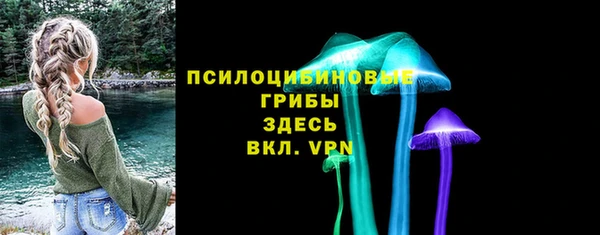 стафф Алексеевка