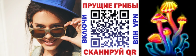 Галлюциногенные грибы Cubensis  ОМГ ОМГ ССЫЛКА  Чита 