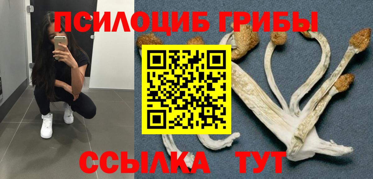 Чита  Галлюциногенные грибы ЛСД  Вход с VPN  Галлюциногенные грибы Psilocybe 